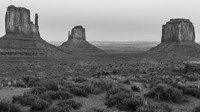 _OY_6065