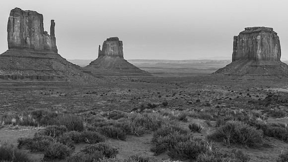_OY_6065