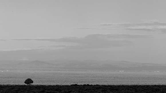 _OY_6849