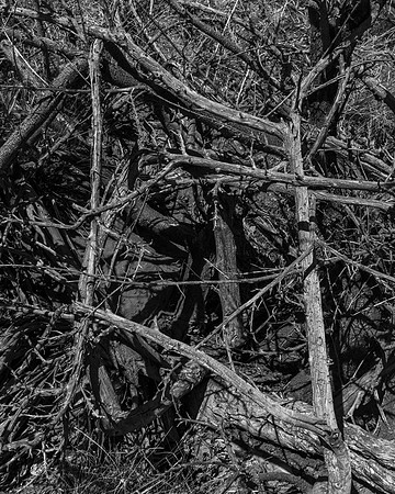 _DSF3796