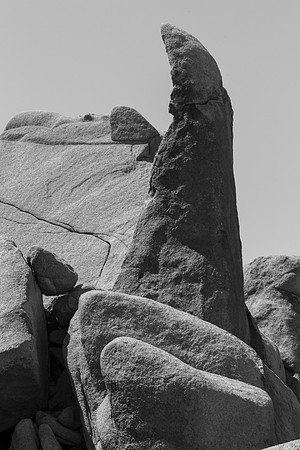 _OY_3450