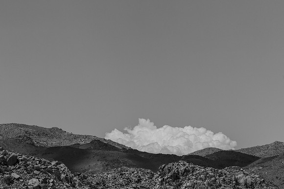 ~ (536)