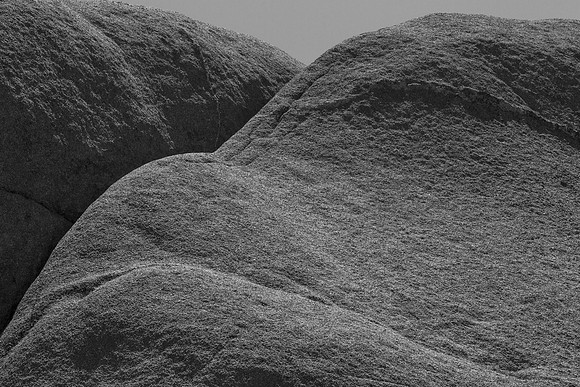 _OY_3364