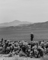 _OY_3760